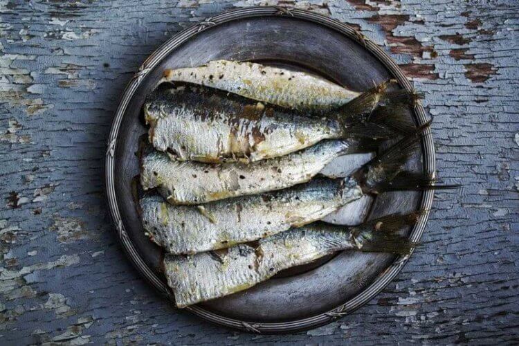 Sustainable Seafood: Adding Trash Fish to Your Menu – Chefs' Toys